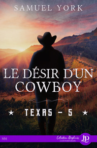 TEXAS - T05 - LE DESIR D'UN COWBOY - TEXAS #5