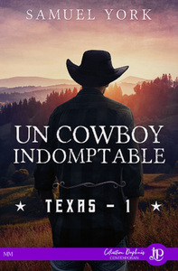 TEXAS - T01 - UN COWBOY INDOMPTABLE