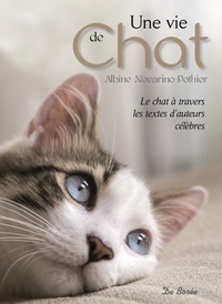 UNE VIE DE CHAT