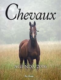 CHEVAUX AGENDA 2016