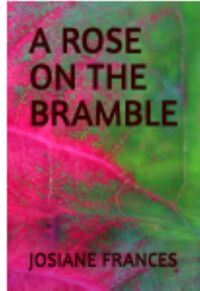 A ROSE ON THE BRAMBLE