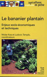 LE BANANIER PLANTAIN