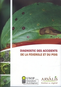 DIAGNOSTIC DES ACCIDENTS DE LA FEVEROLE ET DU POIS