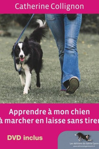 Apprendre à mon chien à marcher en laisse sans tirer