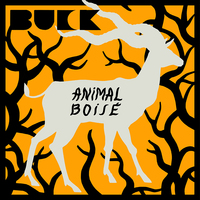 ANIMAL BOISE - AUDIO