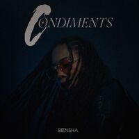 CONDIMENTS - AUDIO