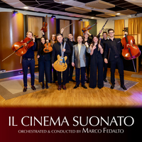 IL CINEMA SUONATO