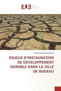 ENJEUX D'INSTAURATION DE DÉVELOPPEMENT DURABLE DANS LA VILLE DE BUKAVU