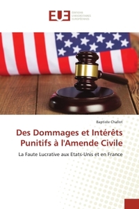 Des Dommages et Intérêts Punitifs à l'Amende Civile