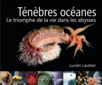 Ténèbres océanes le triomphe de la vie dans les abysses