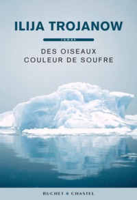 DES OISEAUX COULEUR DE SOUFRE