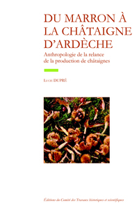 Du marron à la chataigne d' ardeche