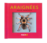 Araignées