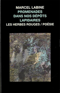 PROMENADES DANS NOS DEPOTS LAPIDAIRE