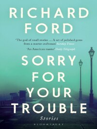 SORRY FOR YOUR TROUBLE
