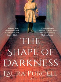 THE SHAPE OF DARKNESS