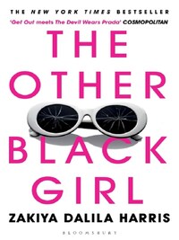 THE OTHER BLACK GIRL