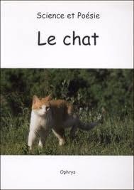 Le chat