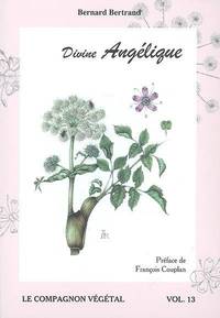 Divine Angélique - Vol. 13