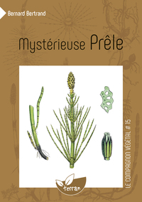 MYSTERIEUSE PRELE