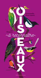 OISEAUX A RECONNAITRE