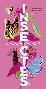 INSECTES AUTOUR DE NOUS