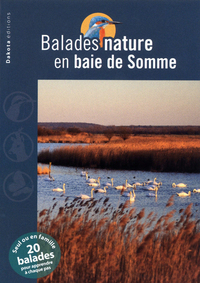 Balades nature en Baie de Somme 2011