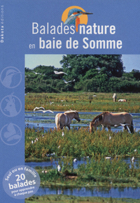 BALADES NATURE EN BAIE DE SOMME 2013