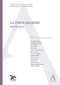 LA FORCE MAJEURE