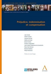 PREJUDICE, INDEMNISATION ET COMPENSATION
