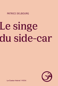 Le Singe du Side Car