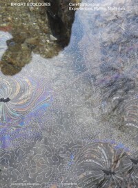 Bright Ecologies