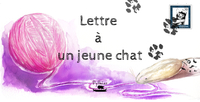 LETTRE A UN JEUNE CHAT