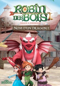 ROBIN DES BOIS - NOM D'UN DRAGON ! - VOL02