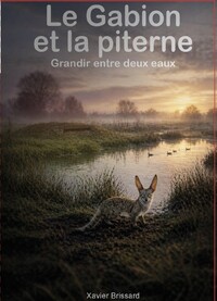 Le Gabion et la piterne
