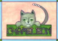 Chaméléon