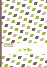 LE CARNET DE JULIETTE - LIGNES, 96P, A5 - PETALES VERT TAUPE GRIS