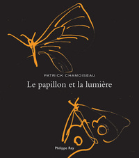 LE PAPILLON ET LA LUMIERE