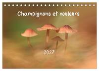 Champignons et couleurs (Calendrier de bureau 2027 DIN A5 vertical), CALVENDO calendrier mensuel