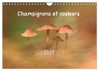 Champignons et couleurs (Calendrier mural 2027 DIN A4 vertical), CALVENDO calendrier mensuel