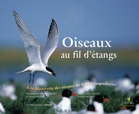 OISEAUX AU FIL D'ETANGS