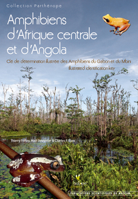 AMPHIBIENS D'AFRIQUE CENTRALE ET D'ANGOLA