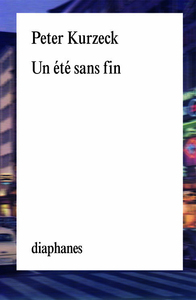 UN ETE SANS FIN