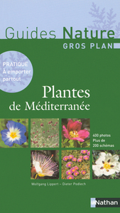 PLANTES DE MEDITERRANEE NC