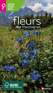 GROS PLAN SUR LES FLEURS DES MONTAGNES