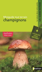 MGTT Champignons