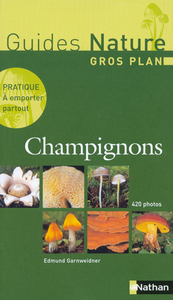 CHAMPIGNONS