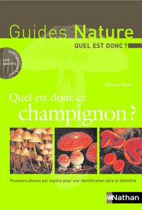 QUEL EST DONC CE CHAMPIGNON