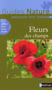 FLEURS DES CHAMPS