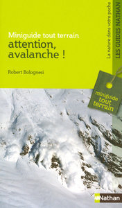 ATTENTION AVALANCHE
